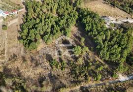 Rustic land with 5,740 m2 Close to the center of Chaves and the A24