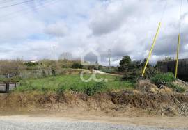 Land Bombarral Delgada