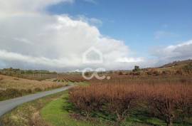 Land Cadaval Cadaval e Pero Moniz