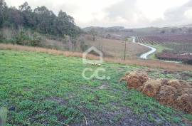 Land Cadaval Cadaval e Pero Moniz