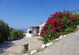 Your investment opportunity: two detached houses on the Costa del Sol