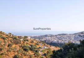 Your investment opportunity: two detached houses on the Costa del Sol