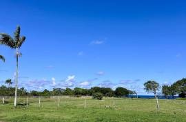 Spacious Light Filled Lot With Brilliant Ocean Views Spacious Light Filled Lot With Brilliant Ocean Views