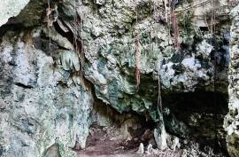 Spacious Light Filled Lot With Brilliant Ocean Views Spacious Light Filled Lot With Brilliant Ocean Views