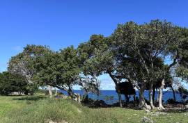 Spacious Light Filled Lot With Brilliant Ocean Views Spacious Light Filled Lot With Brilliant Ocean Views