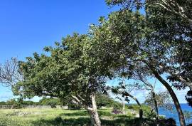 Spacious Light Filled Lot With Brilliant Ocean Views Spacious Light Filled Lot With Brilliant Ocean Views