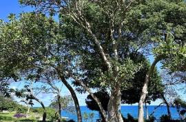 Spacious Light Filled Lot With Brilliant Ocean Views Spacious Light Filled Lot With Brilliant Ocean Views