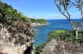 Spacious Light Filled Lot With Brilliant Ocean Views Spacious Light Filled Lot With Brilliant Ocean Views