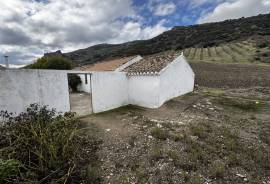 Valley View Country Property