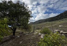 Valley View Country Property