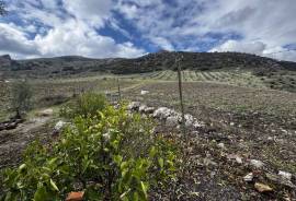 Valley View Country Property