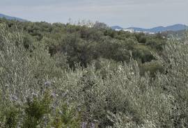 Cerca del Pueblo Country Property