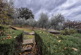 Cerca del Pueblo Country Property