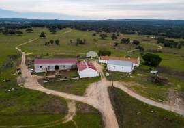 Solar Energy Investment Opportunity | Alentejo