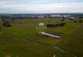 Solar Energy Investment Opportunity | Alentejo