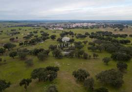 Solar Energy Investment Opportunity | Alentejo