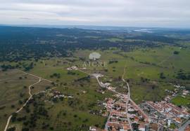 Solar Energy Investment Opportunity | Alentejo