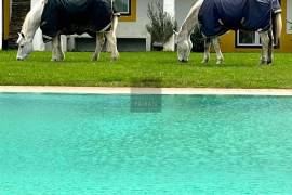 Exceptional Equestrian Property  South West Alentejo