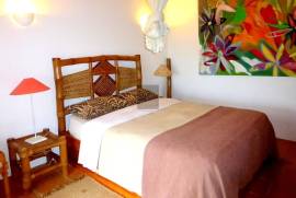 Exceptional Equestrian Property  South West Alentejo