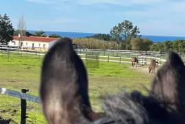 Exceptional Equestrian Property  South West Alentejo