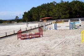 Exceptional Equestrian Property  South West Alentejo