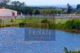 Exceptional Equestrian Property  South West Alentejo