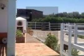 Exceptional Equestrian Property  South West Alentejo