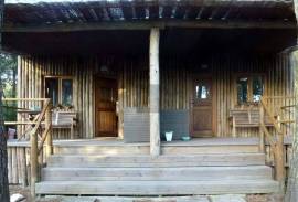 Exceptional Equestrian Property  South West Alentejo