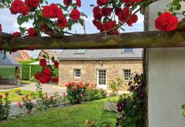 Luxury 12 Bed Estate For Sale In Scaer Brittany