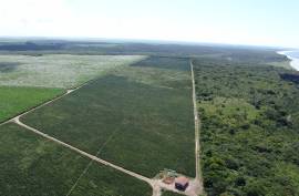 Excellent Estate of land for sale in Lucena