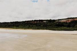 Excellent Estate of land for sale in Lucena