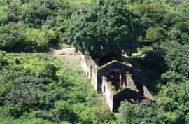 Excellent Estate of land for sale in Lucena