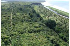 Excellent Estate of land for sale in Lucena