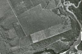 Excellent Estate of land for sale in Lucena