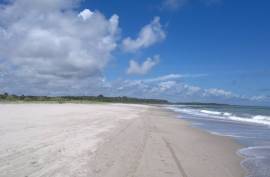 Excellent Estate of land for sale in Lucena