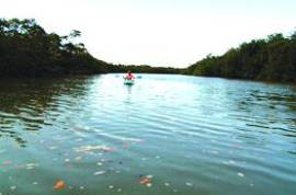 Excellent Estate of land for sale in Lucena