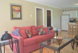 Sea Parrot Ocean View Manor For Sale in Englishtown Nova Scotia Sea Parrot Ocean View Manor For Sale in Englishtown Nova Scotia