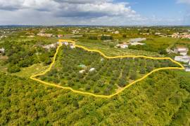 Villa with land, Luz de Tavira