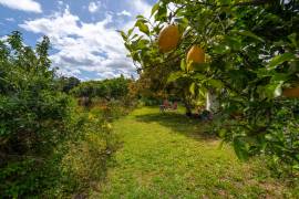 Villa with land, Luz de Tavira