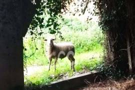 Farmhouse Leiria Brejo Farmhouse Leiria Brejo