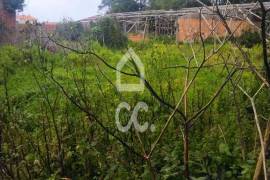 Farmhouse Leiria Brejo Farmhouse Leiria Brejo