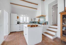 São Bartolomeu de Messines – Single-storey 3+1-bedroom villa with pool and land