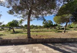 Your refuge in Torrevieja: renovated, sunny and close to nature.