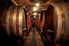 Il Nobile Nettare, tenuta vitivinicola DOCG, Montepulciano - Toscanay