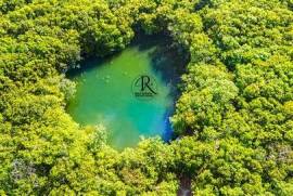 Playa del Secreto riviera maya