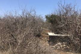 28 Avenida de las Haciendas, Rancho Migrino Prime Lot, Pacific, (MLS# 25-4047)