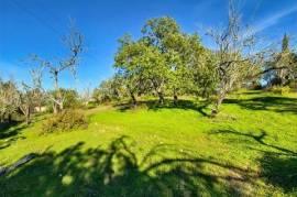 Rustic land with feasibility of construction in Paderne