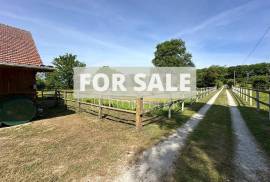 Equestrian Property in 10 Hectares of Land