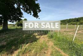 Equestrian Property in 10 Hectares of Land