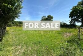 Equestrian Property in 10 Hectares of Land